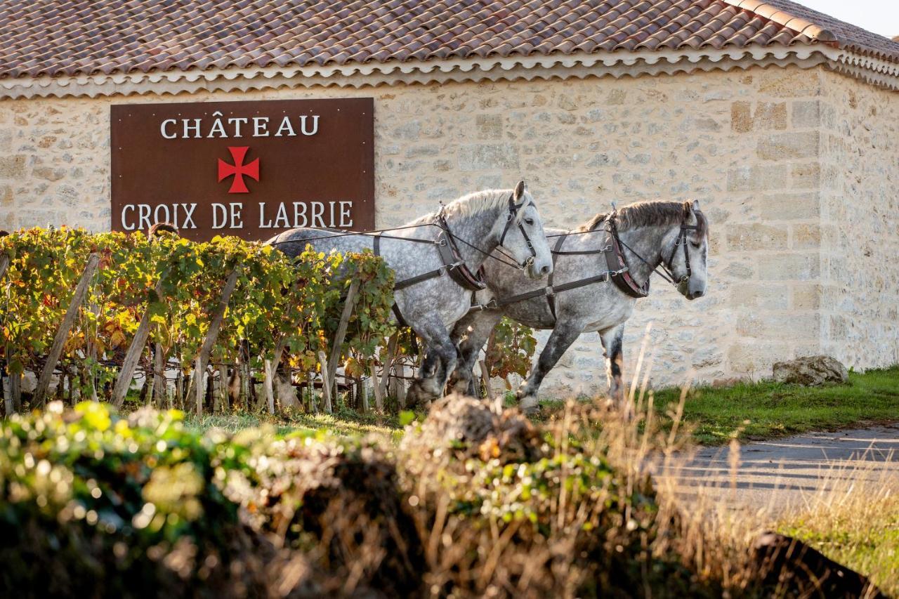 Chateau Croix De Labrie Bed & Breakfast Saint-Emilion Bagian luar foto